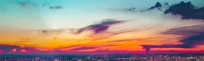 广州茶虫网_广州品茶